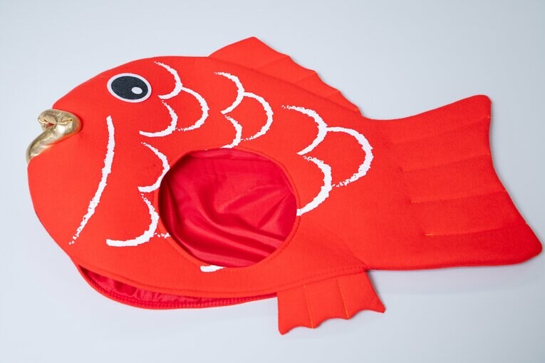 撮影に使ったタイの被り物　©Tadashi Hosoda