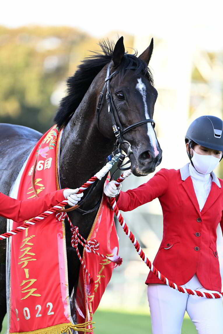 1番人気メイケイエールはなぜ不発に終わった？ 波乱のスプリンターズS、「すべての展開が味方した」ジャンダルムが生んだ“血のドラマ”(51)