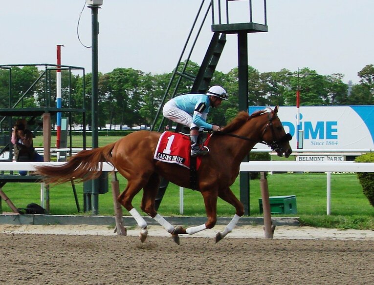 ピーターパンSで見事勝利した際の一枚　©Satoshi Hiramatsu