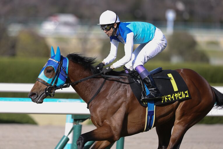 アドマイヤビルゴ©AFLO