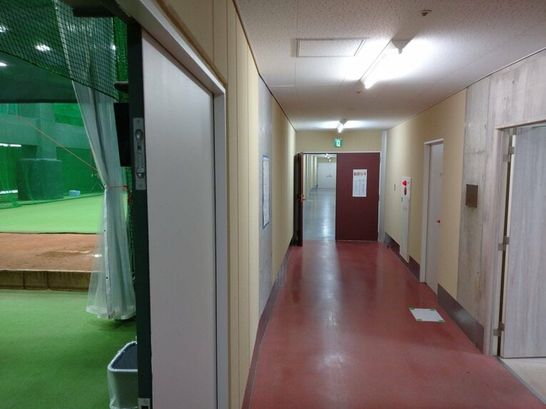 写真提供／広島東洋カープ