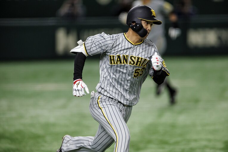 ©︎Kiichi Matsumoto