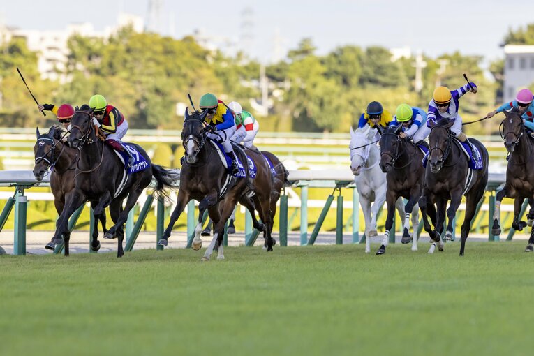 ラスト200mで伸びてきたアカイトリノムスメ（中央）
