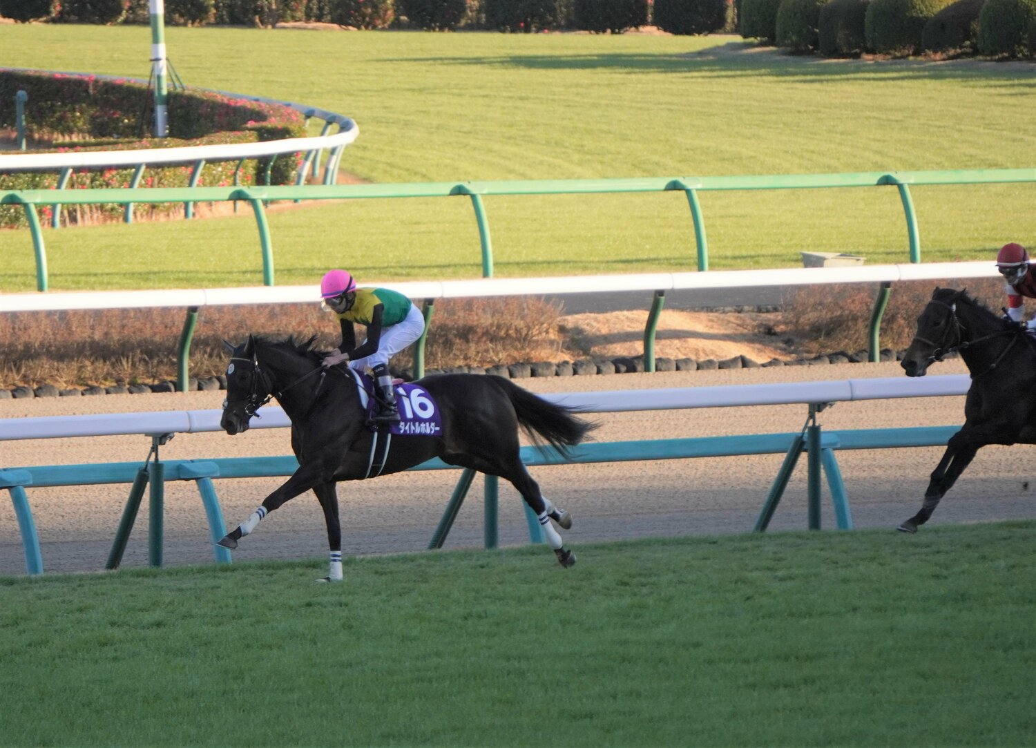 初コンビとなった有馬記念では、大外16番枠から見せ場を作った　©Satoshi Hiramatsu