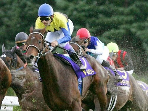 ディープインパクト 武豊 菊花賞 競走馬 写真パネル 額縁入り スポーツ