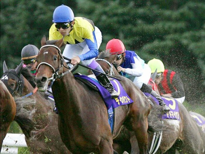 武豊「申し訳ないけど、皆様お静かにと」 15年前、異様な熱気に満ちていたディープの菊花賞＜Number Web＞ photograph by Kyodo News