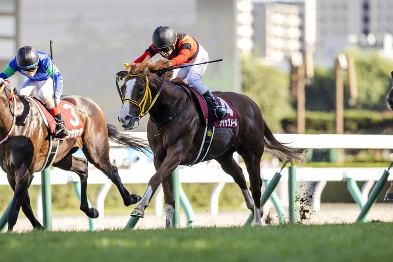 札幌記念でパンサラッサをかわし、1着となったジャックドール ／ photograph by photostud
