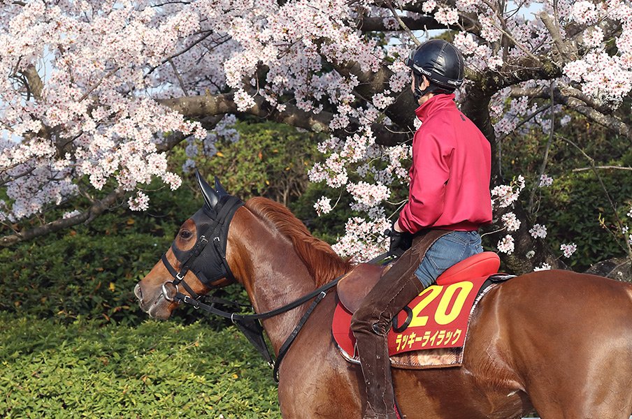 桜花賞にかかる「61年ぶりの偉業」。無敗+2歳女王のライラック出陣。<Number Web> photograph by Yuji Takahashi