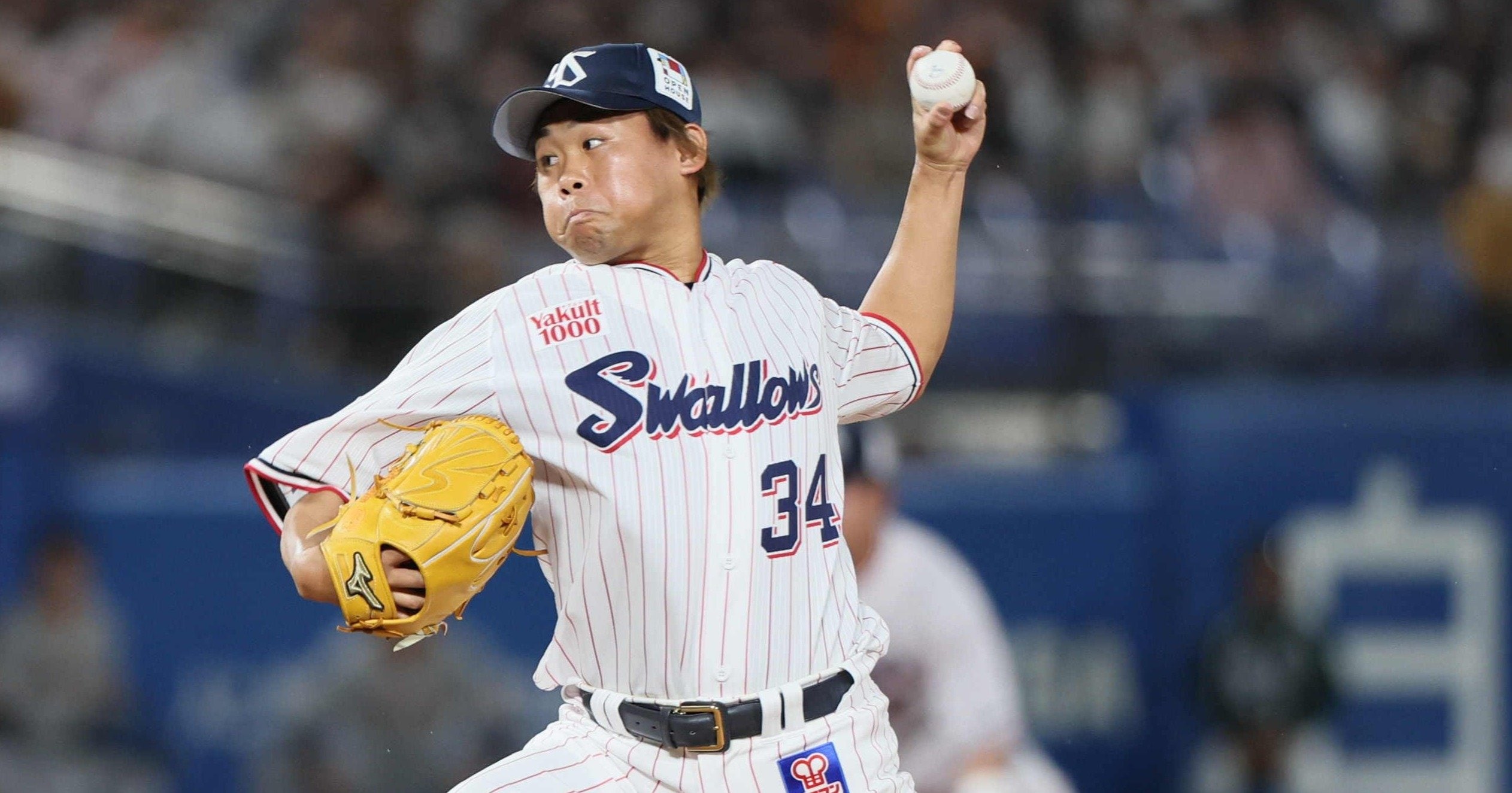 田口 権 一 消え た 天才