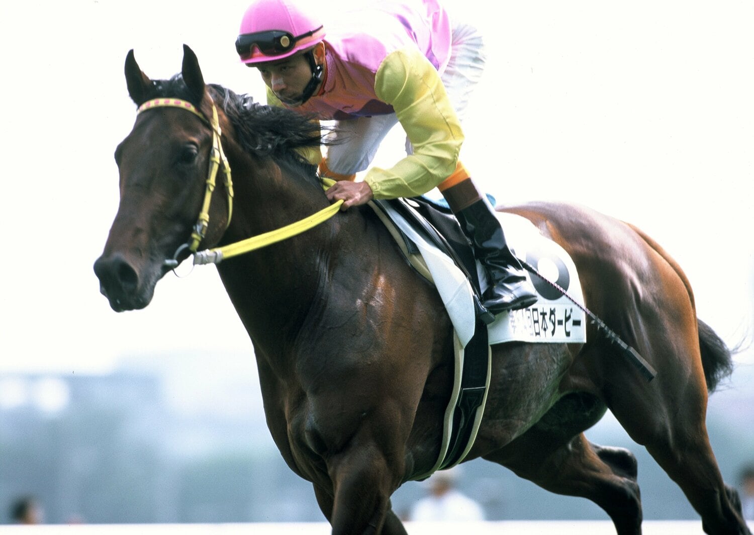 7位　サニーブライアン（1997年）　©Keiji Ishikawa