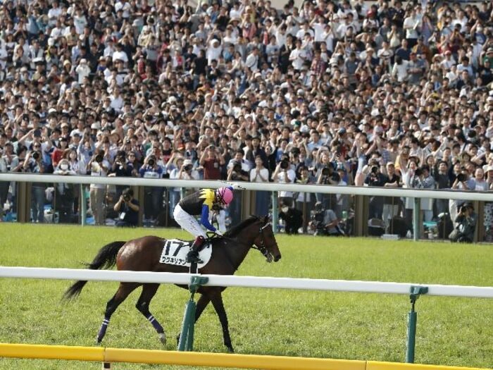【日本ダービー】3万人で大行列ができた「府中競馬正門前駅」今年は？ 駅長さんが語る「京王の駅員も競馬ファンが多いので…」＜Number Web＞ photograph by KYODO
