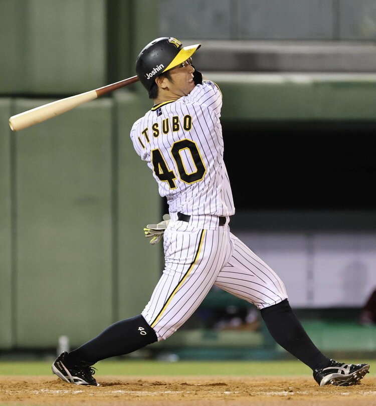 阪神タイガース 井坪陽生 赤枠版 ルーキーカード　シリアルナンバー5/5 BBM 2023 阪神タイガース 井坪陽生 ルーキーカード - メルカリ