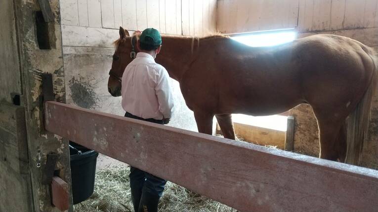 提供：ノーザンレイク