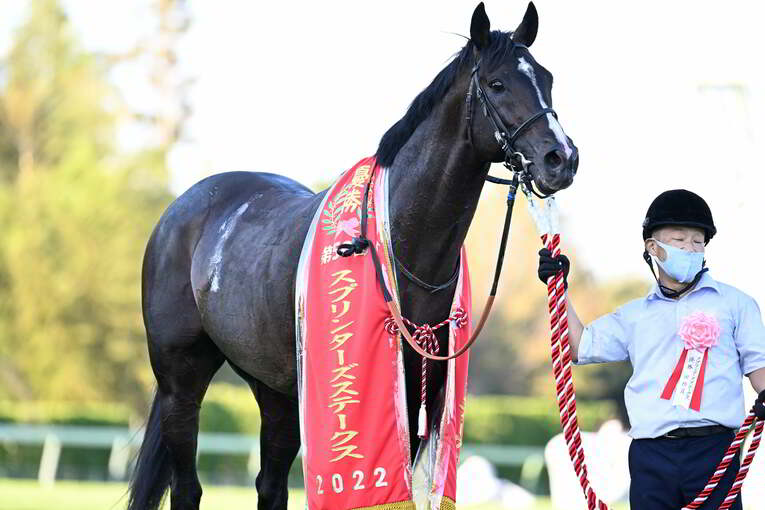 1番人気メイケイエールはなぜ不発に終わった？ 波乱のスプリンターズS、「すべての展開が味方した」ジャンダルムが生んだ“血のドラマ”(48)