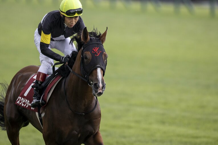 アスクビクターモアは、調教師の「長距離で花開く」というコメントも心強い　©Photostud