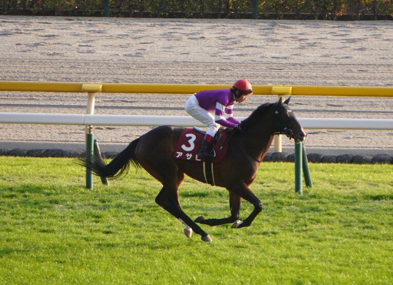 アサヒ　©Satoshi Hiramatsu