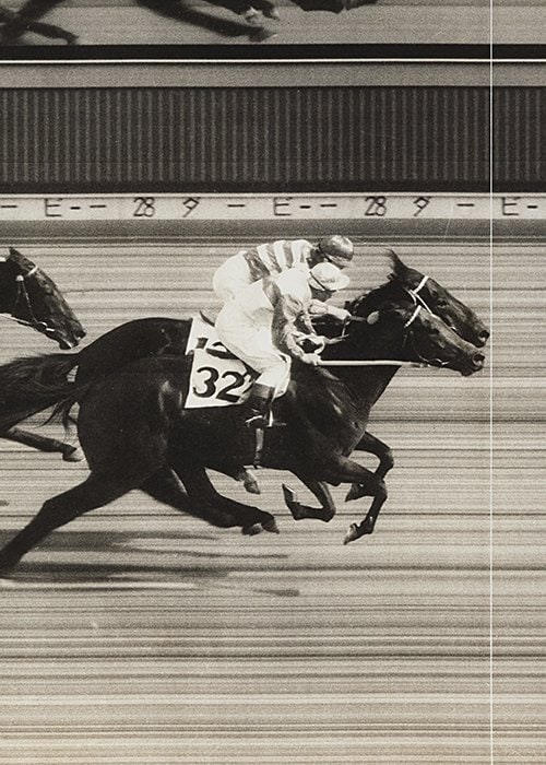 鍋掛牧場の事務所に飾られている1961年の決勝写真。手前が通算20戦4勝のメジロオー（牧場提供）