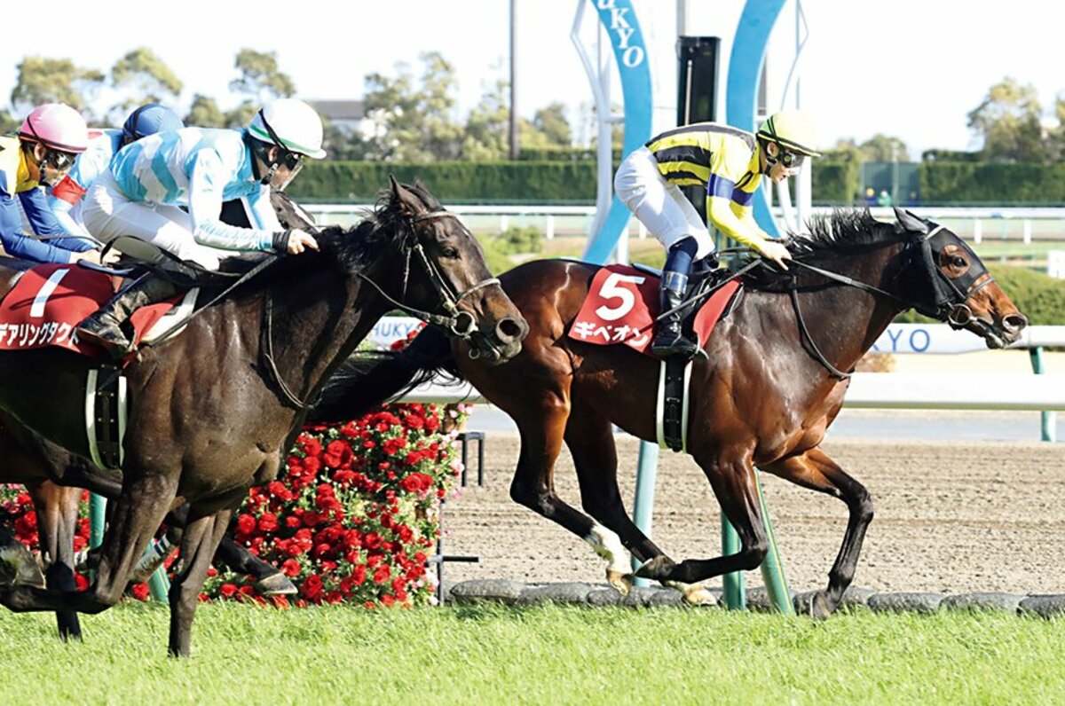 ディープインパクト産駒が思わぬ苦戦も？ 京都競馬場休止に地震が