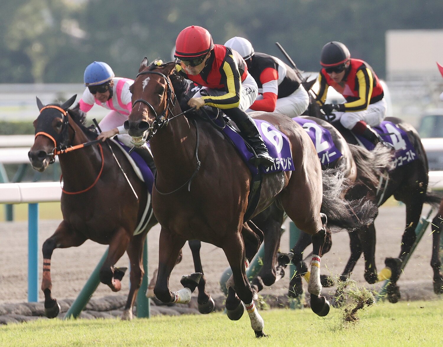 「安全運転」で秋華賞を制し、牝馬三冠を達成したリバティアイランド ©JIJI PRESS