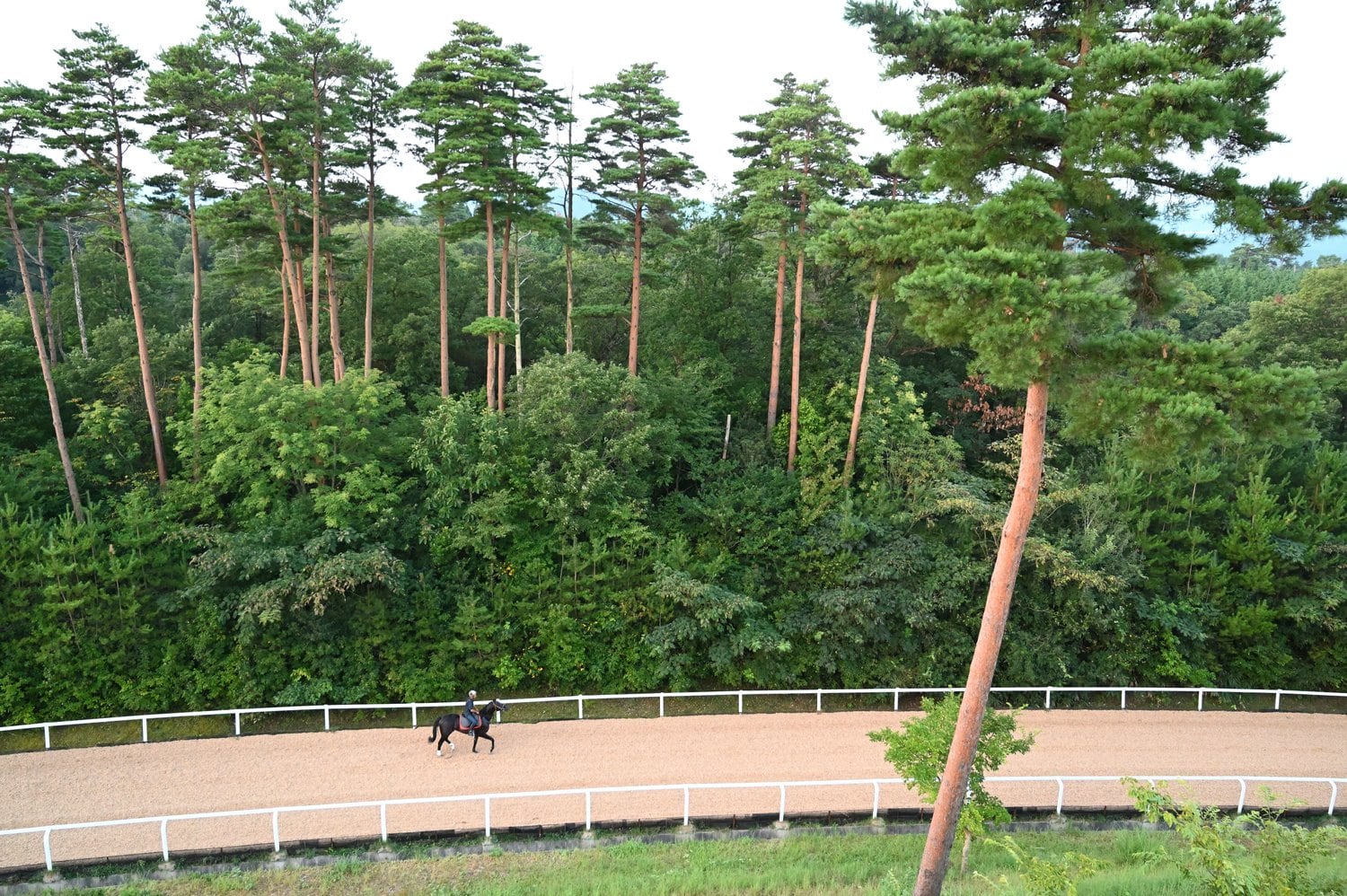 鳥取・大山ヒルズで調整を行うコントレイル　©Keiji Ishikawa