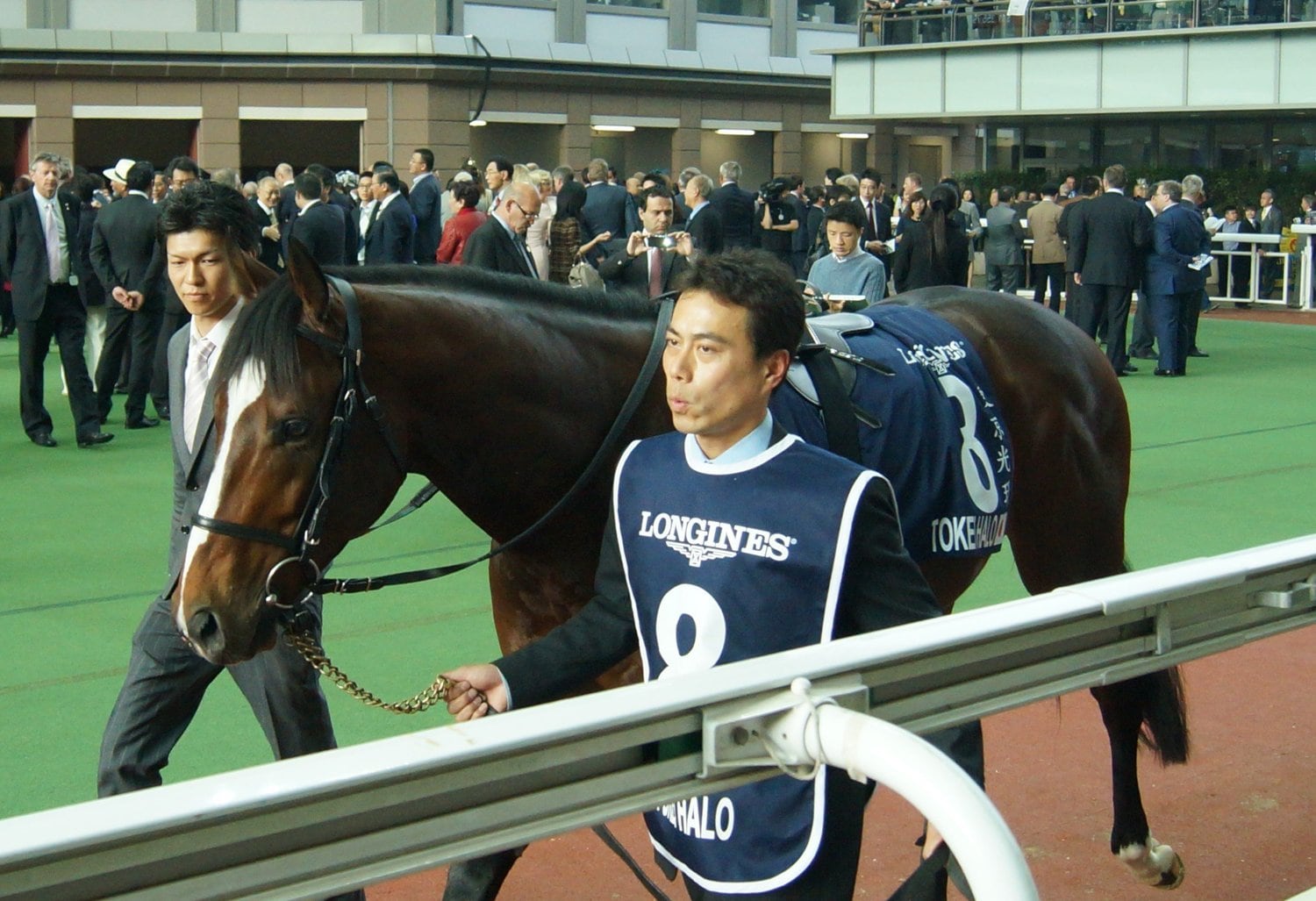 香港カップ挑戦時のトウケイヘイロー