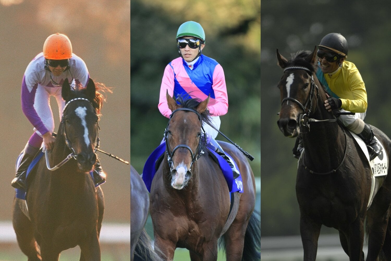 左からスペシャルウィーク、メイショウサムソン、ウオッカ ©BUNGEISHUNJU