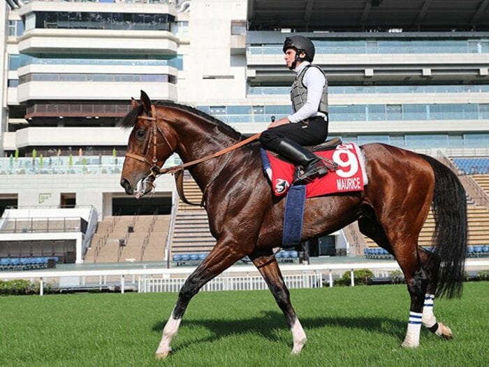 史上初、5つのGIの馬券が買える日。香港ではムーアが4冠の可能性も。＜Number Web＞ photograph by Yuji Takahashi