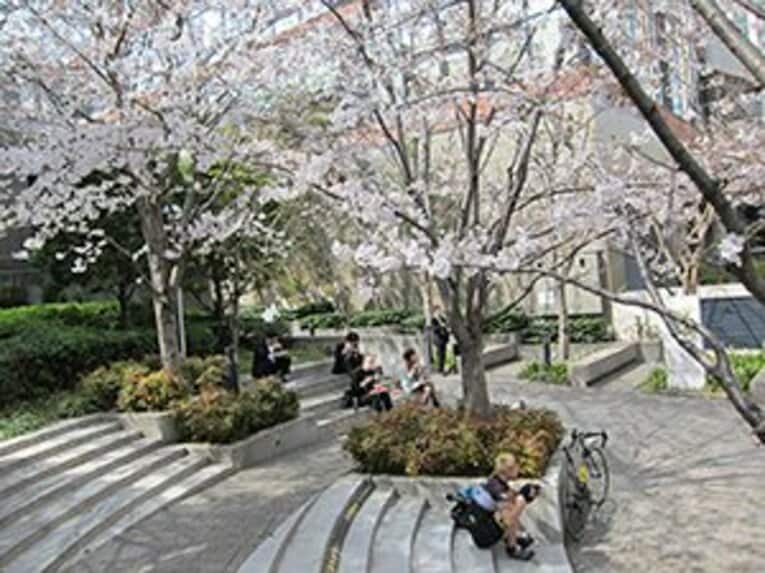 宴会自粛の千鳥ヶ淵、上野、谷中。桜の下で震災後の日本を考えた。(2)