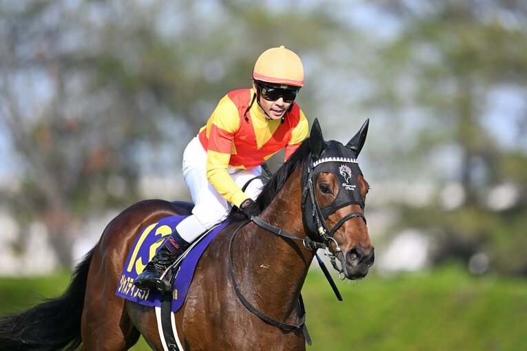 レース直後のジャスティンミラノと戸崎圭太　©Keiji Ishikawa