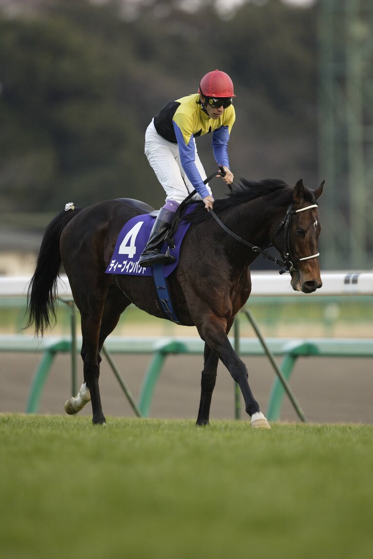 武豊とディープインパクト（2006年・有馬記念）©Takuya Sugiyama