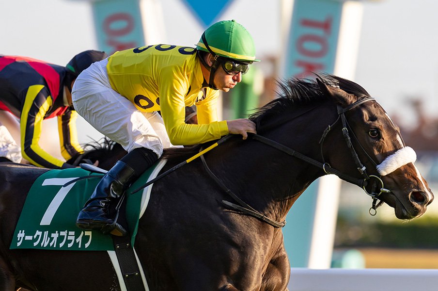 阪神jf 狙うべきは 早熟スピード馬 ではなく 伸びしろ のある馬 豪脚を見せたサークルオブライフ以外に当てはまるのは 競馬 Number Web ナンバー