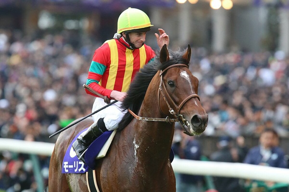 モーリス　ブルゾン　競馬 一頭だけ筋肉が全く違ったモーリス。天皇賞・秋でマイルと「2階級制覇