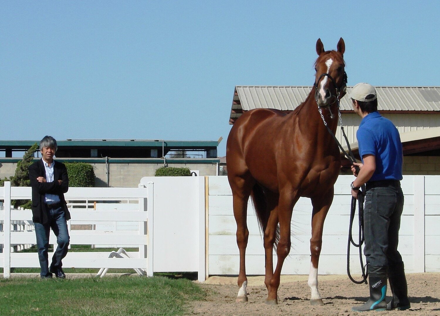 カジノドライヴを見守る藤沢和雄調教師　©Satoshi Hiramatsu