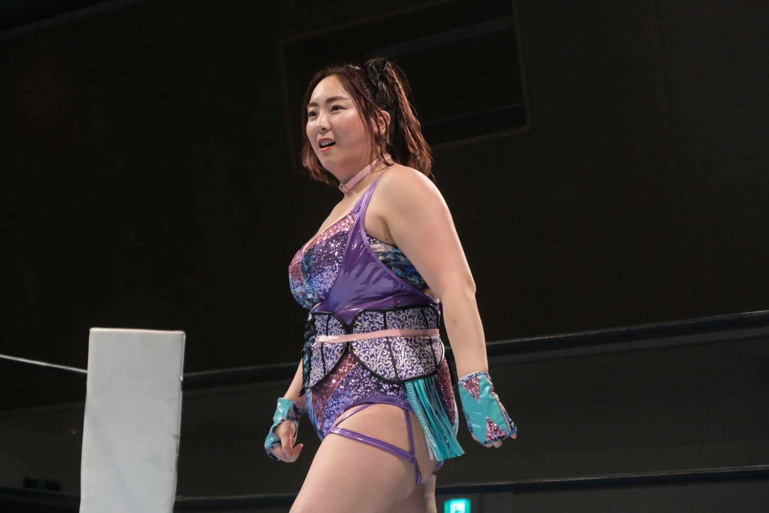 所属するガンバレ☆プロレスの他さまざまな団体で活躍する　©Norihiro Hashimoto