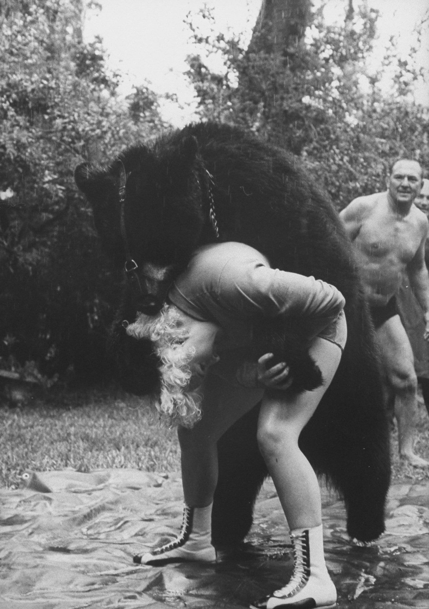 アメリカで行われたクマ相手のレスリングの例　©Getty Images