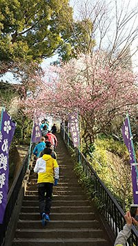 ソニック プロ発売に先駆けて、ランニングイベントを企画。参加したランナーは、都会の裏道で階段や急な斜面に遭遇。新しい発見を楽しみながら走るというスタイルと、それをサポートするソニック プロの性能を満喫していたとか。