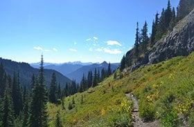 牧歌的なトレイルを、悲壮感に包まれながら進む。 