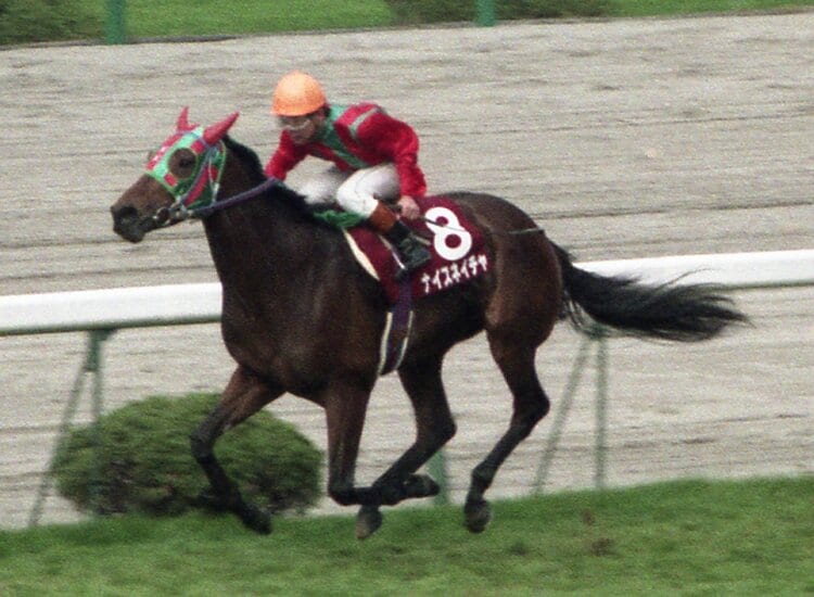 有馬記念で3年連続3着”ナイスネイチャ33歳がふるさとで過ごす幸せな