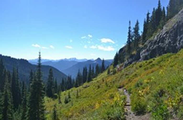 牧歌的なトレイルを、悲壮感に包まれながら進む。 