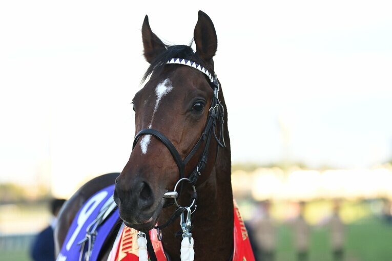 「毎年このレースが近づいてくると…」朝日杯FS“22回目の挑戦”で武豊（52）が悲願達成　“3番人気”だったドウデュースはなぜ勝てたのか？(20)