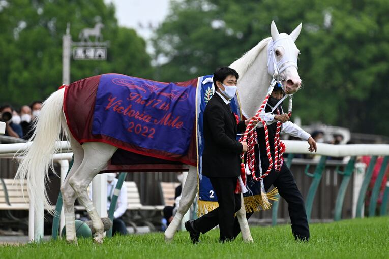 ソダシvsスターズオンアースは競馬史に残るレースとなるか？「ウオッカとダイワスカーレット」以来の“名牝ライバル誕生”を期待してしまう理由(49)