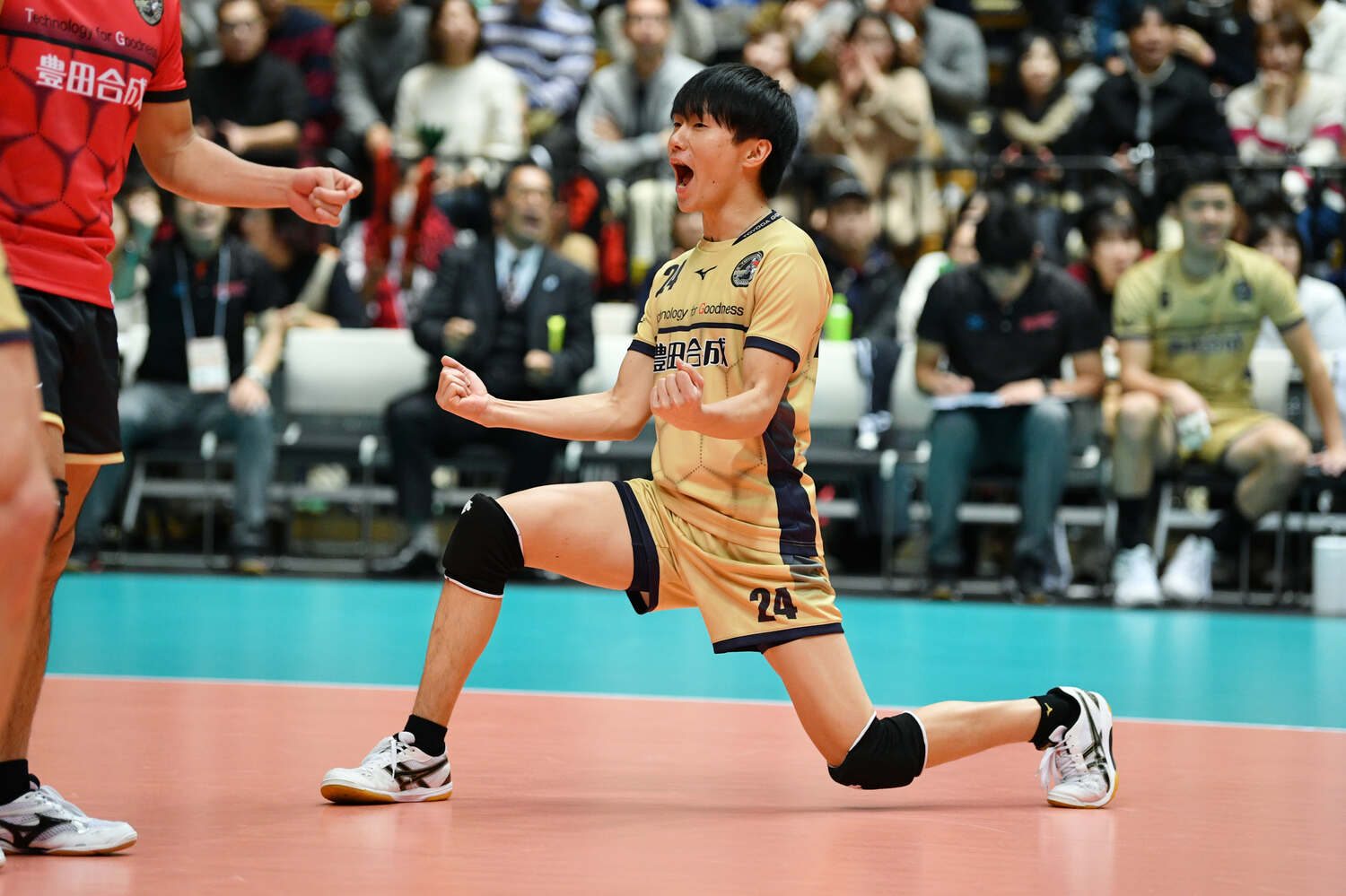 明治大4年時、豊田合成トレフェルサ（現・ウルフドッグス名古屋）の内定選手として天皇杯に出場した小川智大（2018月12月）©︎ MATSUO.K/AFLO SPORT