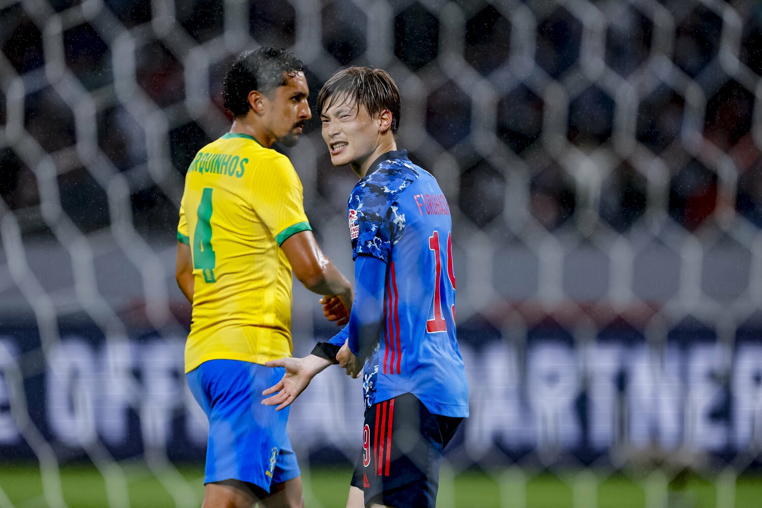 Kiichi Matsumoto／JMPA