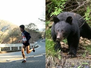 〈箱根駅伝〉山上りの5区にクマはいる？「戦前に絶滅したはずが…」約70年ぶりにツキノワグマ“発見”した教授に聞く「箱根の山とクマ問題」