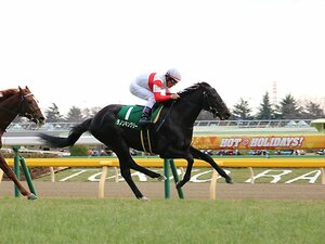 2歳王者をねじ伏せた秀逸な末脚。ダノンキングリーは関東の星だ。