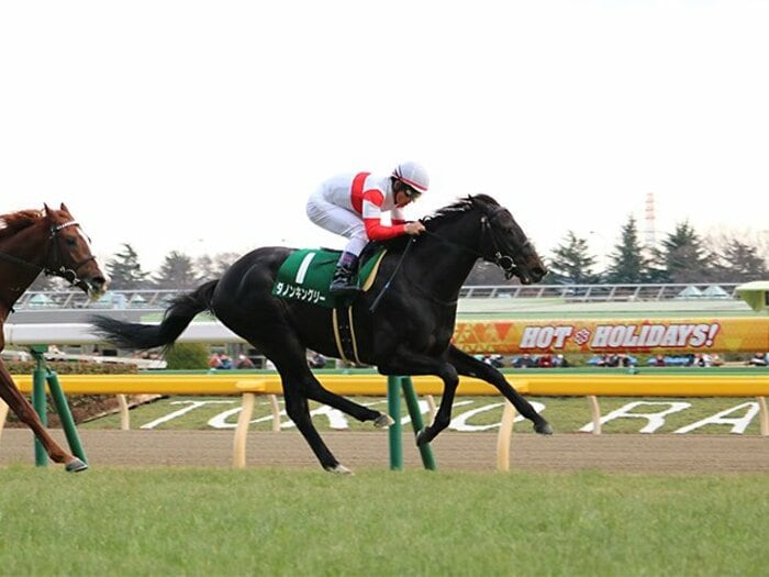 2歳王者をねじ伏せた秀逸な末脚。ダノンキングリーは関東の星だ。＜Number Web＞ photograph by Satoshi Hiramatsu