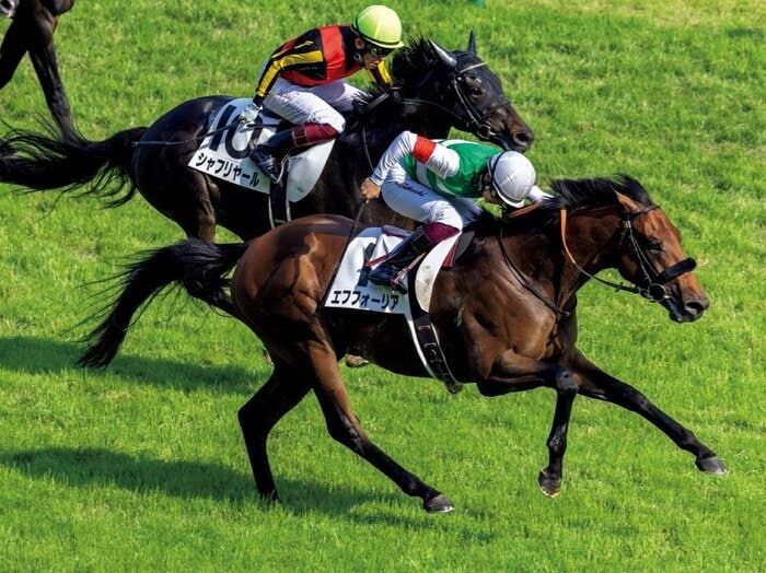 「勝たなくてはいけない馬になっていた」ダービー圧倒的1番人気エフフォーリアの惜敗…調教師が明かす真相「レース前夜、生まれて初めて眠れなかった」＜Number Web＞ photograph by Photostud