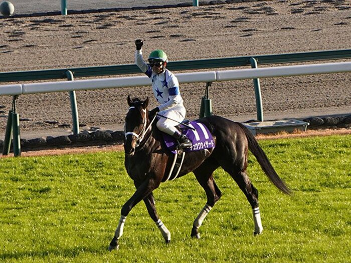 大ケガからの復活　チャンピオンズカップ制覇の戸崎圭太が語る“マル秘ノート”を見返さなかったワケ＜Number Web＞ photograph by Satoshi Hiramatsu