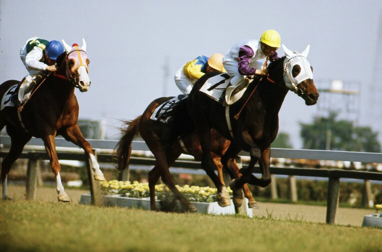 大井から中央へ移籍し、国民的なアイドルホースとなったハイセイコー　©AFLO