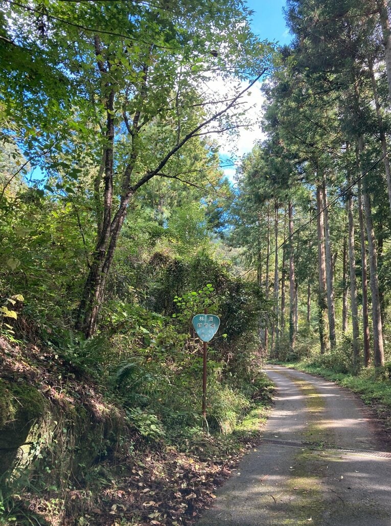 かつての「全女」栄華の時代の象徴、リングスター・フィールドへの道中。秩父の山中にトレーニング施設兼合宿所としてログハウスやプールまであった　©Hiroki Kakehata